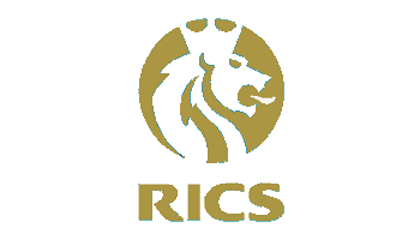 RICS Valuation Review